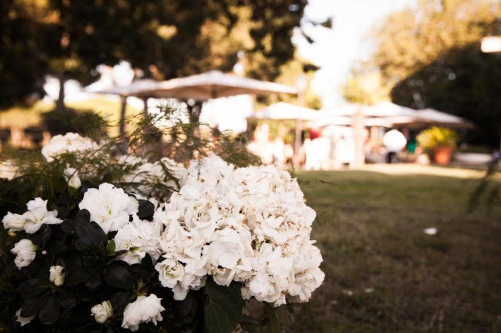 Villa Strampelli Pomezia Zewnętrze zdjęcie